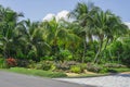 Beautiful tropical landscape, decorated with Cactuses, light brown pebble, green and red leafs ground cover plant and shrubs Royalty Free Stock Photo