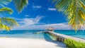 Beautiful tropical landscape. Maldives island beach and palm trees. Perfect tropical banner