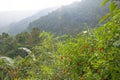 Beautiful tropical landscape of Mount Nepal Himalayas Royalty Free Stock Photo