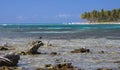 Beautiful tropical landscape: ocean, island, coast, palm trees. Royalty Free Stock Photo