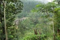 Beautiful tropical landscape with old stone bridge in perspective, tall trees and lush on green hills