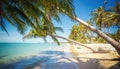 Beautiful tropical landscape, turquoise water, white sand and palm trees on the beach