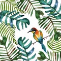 Beautiful tropical leaves and colorful bird on white background