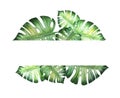 Beautiful tropical leaves frame for text. Monstera, palm. Watercolor painting.