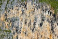 Rock cliff wall texture limestone islands Koh Phi Phi Thailand Royalty Free Stock Photo