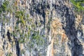 Rock cliff wall texture limestone islands Koh Phi Phi Thailand Royalty Free Stock Photo