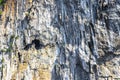 Rock cliff wall texture limestone islands Koh Phi Phi Thailand Royalty Free Stock Photo