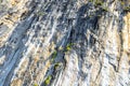 Rock cliff wall texture limestone islands Koh Phi Phi Thailand Royalty Free Stock Photo