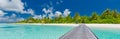 Beautiful tropical Maldives island with beach, sea, coconut palm tree on blue sky for nature holiday vacation Royalty Free Stock Photo