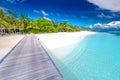 Beautiful tropical Maldives resort hotel island with beach and sea sand sky for holiday vacation background concept. Boost up co Royalty Free Stock Photo