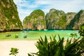 Beautiful tropical Maya Bay Beach with plants in front, Koh Phi Phi, Thailand Royalty Free Stock Photo