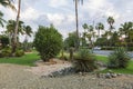 Beautiful tropical nature landscape view. Green palm trees, green plants and grass on blue sky with rare white clouds backgrounds. Royalty Free Stock Photo