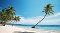 Beautiful tropical palm beach with palm trees, white sand and turquoise ocean. Perfect paradise landscape background