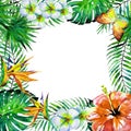 Beautiful tropical palm leaves and flowers, watercolor