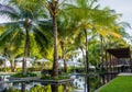 Beautiful tropical palm trees garden at Maldives Royalty Free Stock Photo