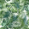 Beautiful tropical pattern with green palm leaves for design ideal for fabric design