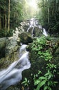 Beautiful Tropical Rain Forest Waterfall With Lush Foliage