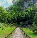 Beautiful tropical rainforest near the hot springs Royalty Free Stock Photo