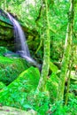 Beautiful tropical rainforest waterfall in deep forest, Phu Kradueng National Park Royalty Free Stock Photo