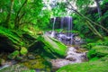 Beautiful tropical rainforest waterfall in deep forest, Phu Kradueng National Park Royalty Free Stock Photo