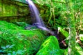 Beautiful tropical rainforest waterfall in deep forest, Phu Kradueng National Park Royalty Free Stock Photo