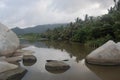 Beautiful tropical river in middle of tayrona park with mangrove swamp Royalty Free Stock Photo