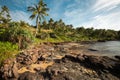 Tropical rocky beach with palm tree in Vietnam Royalty Free Stock Photo