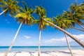 Beautiful tropical sand beach and coconut trees with blue sky Royalty Free Stock Photo