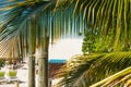 Beautiful tropical sandy beach with palms turquise caribbean sea at Jamaica Royalty Free Stock Photo