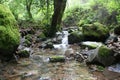 Beautiful Tropical Scenic Creek High Quality Stock Photo