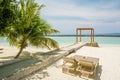 Beautiful tropical sunny beach near the ocean with palm trees, sunbeds and cabana Royalty Free Stock Photo