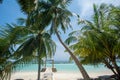 Beautiful tropical sunny beach with palm trees and ocean at the island at resort Royalty Free Stock Photo