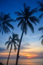 Beautiful Tropical sunrise seascape with Palm trees, Thailand Royalty Free Stock Photo