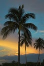 Beautiful tropical sunset at Miami Beach in Florida Royalty Free Stock Photo