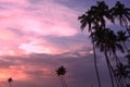Beautiful tropical sunset with palm trees silhoette at the beach