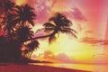 Beautiful tropical sunset with palm trees silhouette at beach