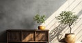 Beautiful tropical tree in rattan basket pot book on antique wooden cabinet in sunlight shadow on clean blank polished cement wall