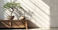 Beautiful tropical tree in rattan basket pot book on antique wooden cabinet in sunlight shadow on clean blank polished cement wall