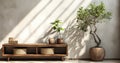 Beautiful tropical tree in rattan basket pot book on antique wooden cabinet in sunlight shadow on clean blank polished cement wall