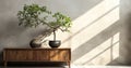 Beautiful tropical tree in rattan basket pot book on antique wooden cabinet in sunlight shadow on clean blank polished cement wall