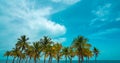 Palm trees against cloudy blue sky