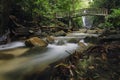 Beautiful tropical waterfall in lush surrounded by green forest