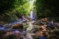 Beautiful tropical waterfall in lush surrounded by green forest
