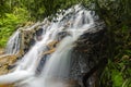 Beautiful tropical waterfall in lush surrounded by green forest.wet rock and moss.