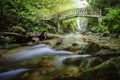 Beautiful tropical waterfall in lush surrounded by green forest.wet rock and moss.