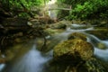 Beautiful tropical waterfall in lush surrounded by green forest.wet rock and moss.