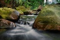 Beautiful tropical waterfall in lush surrounded by green forest.wet rock and moss.