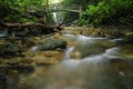 Beautiful tropical waterfall in lush surrounded by green forest.