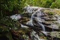 Beautiful tropical waterfall in lush surrounded by green forest