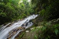 Tropical waterfall in lush surrounded by green forest